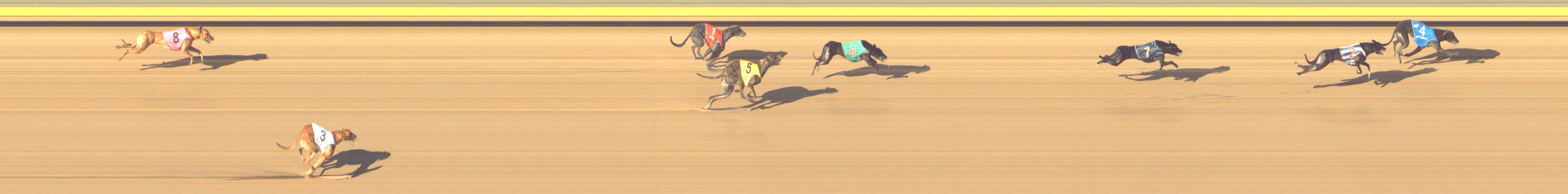 Photo finish for Shepparton Race 9