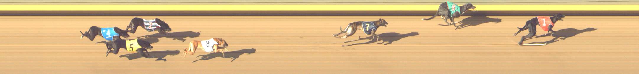 Photo finish for Shepparton Race 10