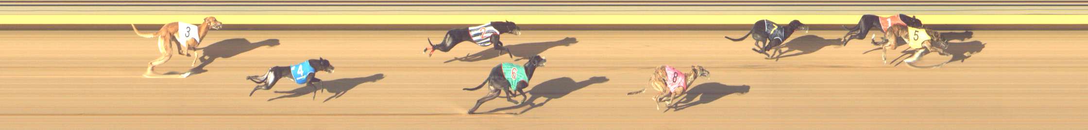 Photo finish for Shepparton Race 11