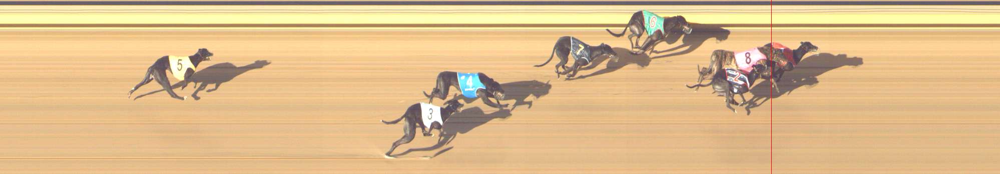 Photo finish for Shepparton Race 12