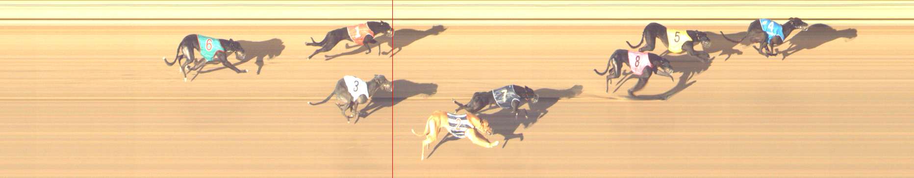 Photo finish for Shepparton Race 13