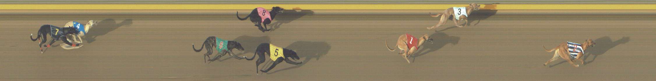 Photo finish for Shepparton Race 1