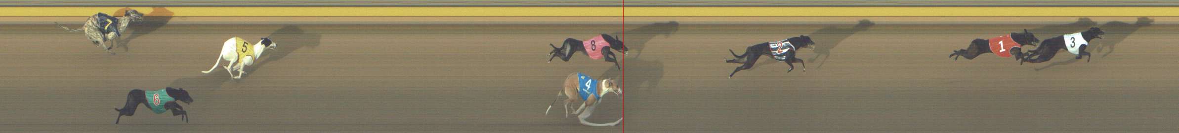 Photo finish for Shepparton Race 2