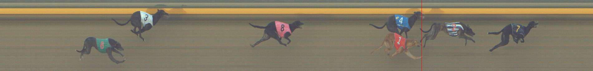 Photo finish for Shepparton Race 3