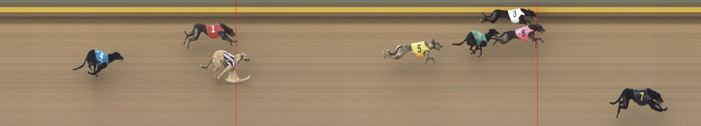 Photo finish for Shepparton Race 4