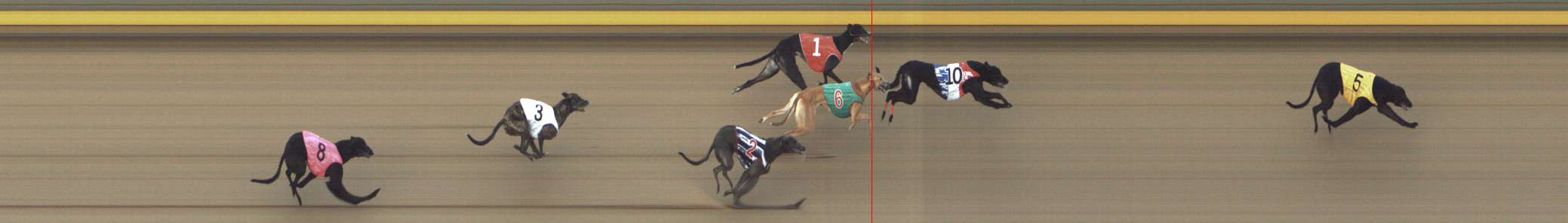 Photo finish for Shepparton Race 6