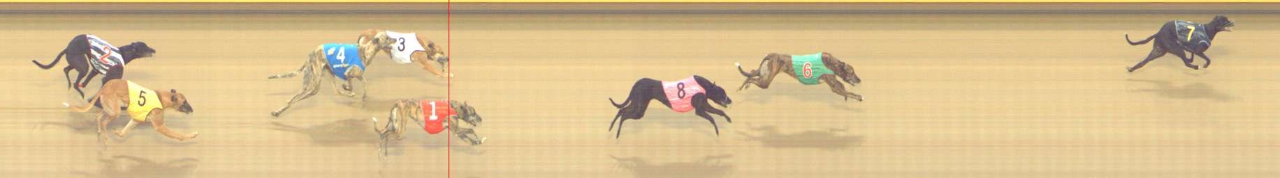 Photo finish for Shepparton Race 7