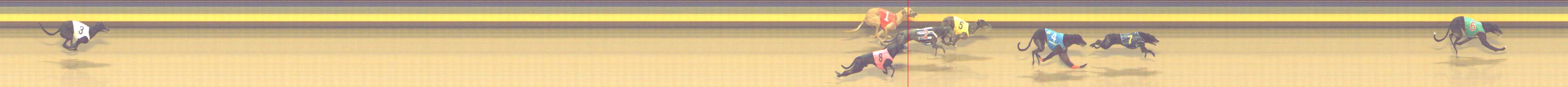 Photo finish for Shepparton Race 8