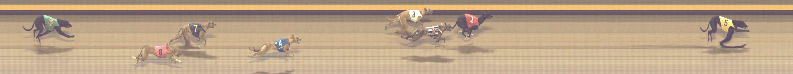 Photo finish for Shepparton Race 9