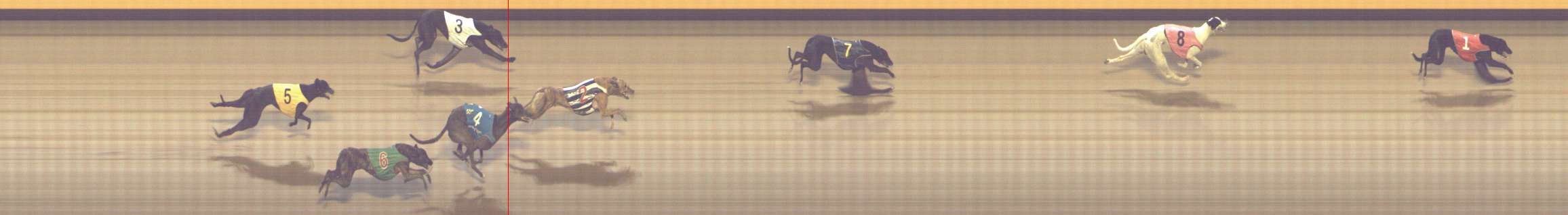 Photo finish for Shepparton Race 11