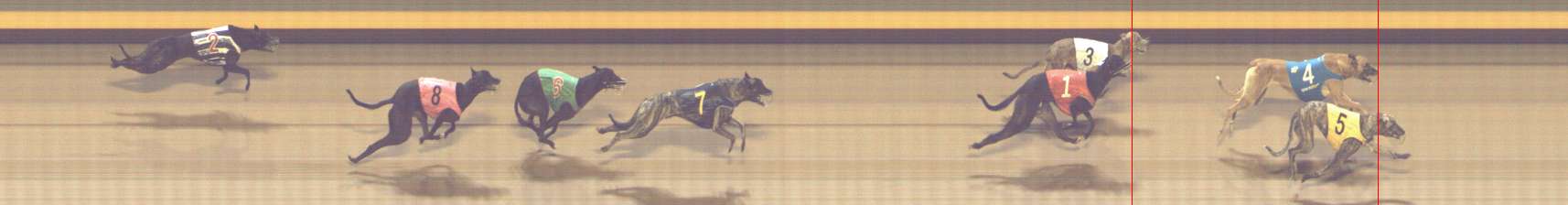 Photo finish for Shepparton Race 12
