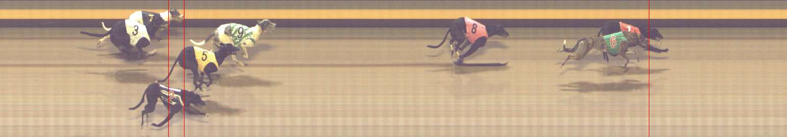 Photo finish for Shepparton Race 13