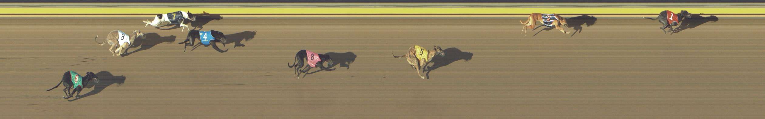 Photo finish for Shepparton Race 1