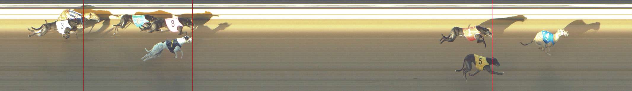 Photo finish for Shepparton Race 3