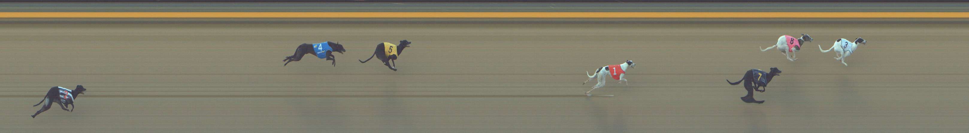 Photo finish for Shepparton Race 4