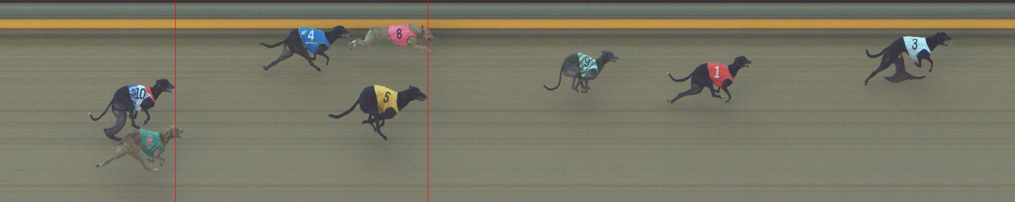 Photo finish for Shepparton Race 5