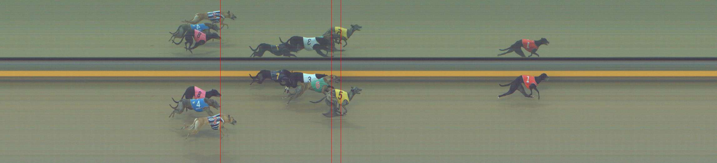 Photo finish for Shepparton Race 7