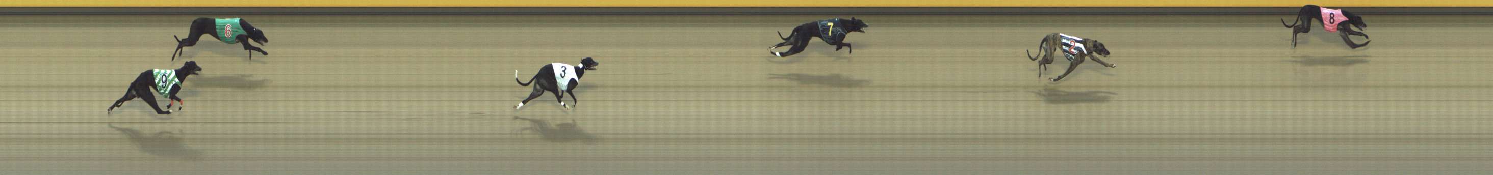 Photo finish for Shepparton Race 8
