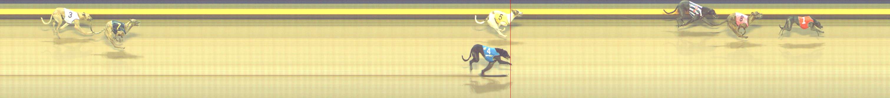 Photo finish for Shepparton Race 9