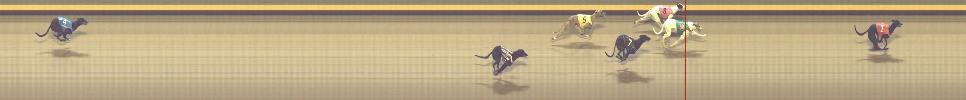 Photo finish for Shepparton Race 10