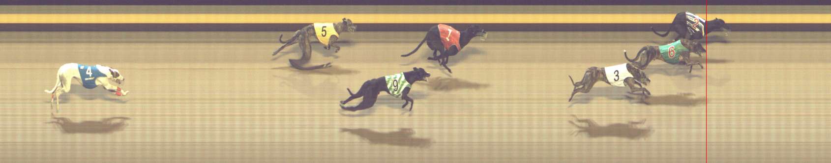 Photo finish for Shepparton Race 12