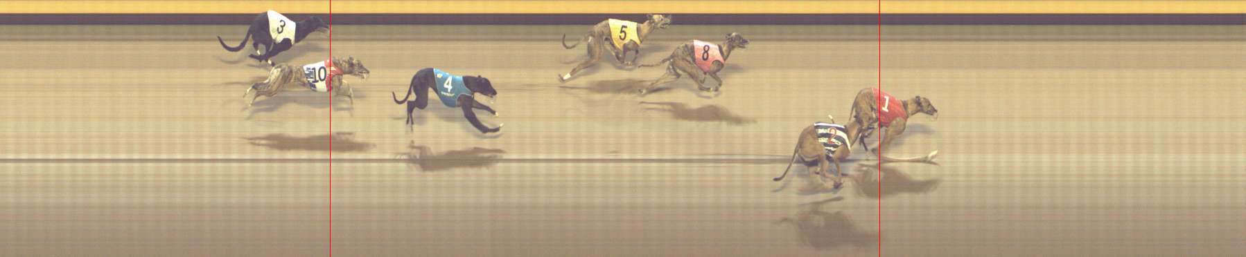 Photo finish for Shepparton Race 13