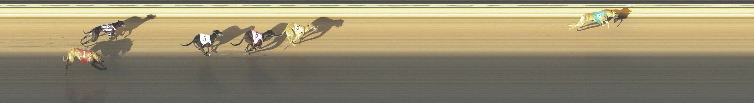 Race result finish photo