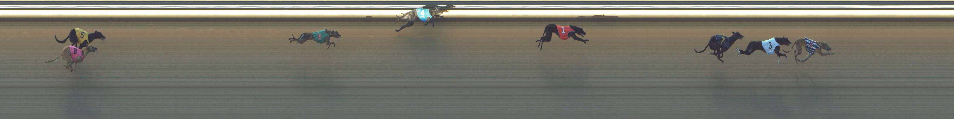 Photo finish for Shepparton Race 2