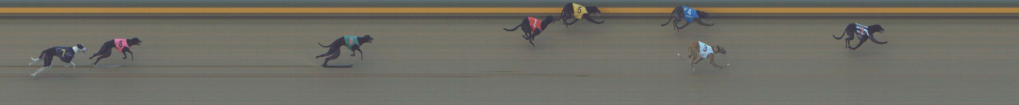 Photo finish for Shepparton Race 3
