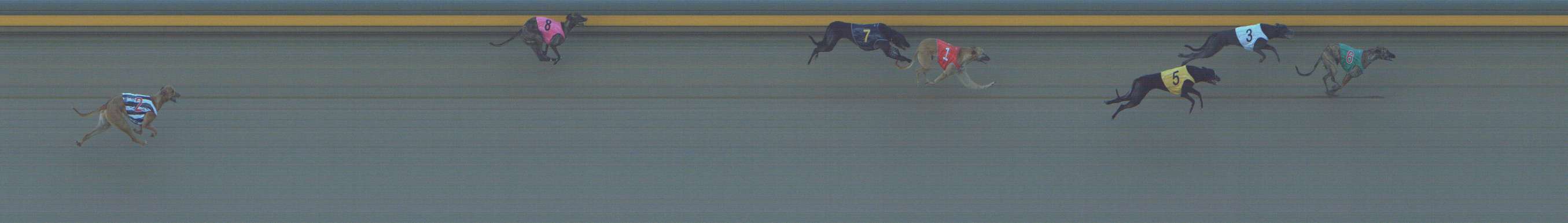 Photo finish for Shepparton Race 4