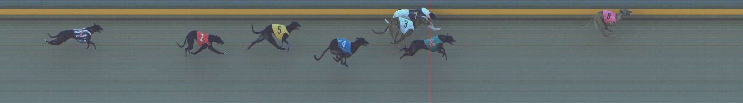 Photo finish for Shepparton Race 5