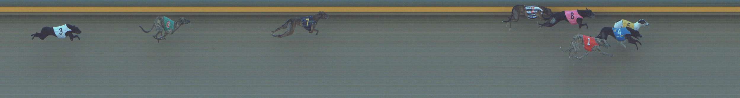 Photo finish for Shepparton Race 6