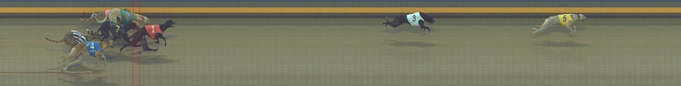 Photo finish for Shepparton Race 7
