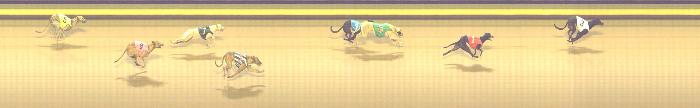 Photo finish for Shepparton Race 8