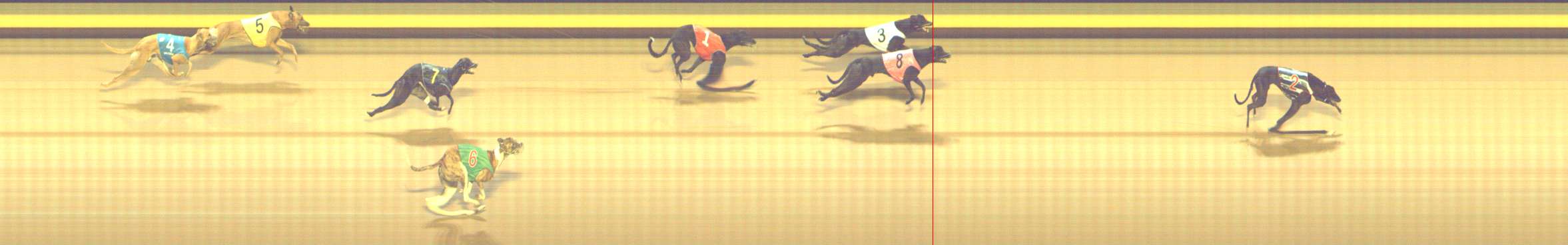 Photo finish for Shepparton Race 9
