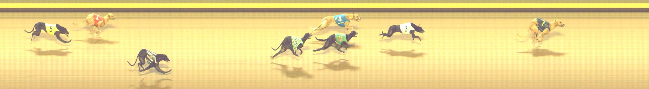 Photo finish for Shepparton Race 10