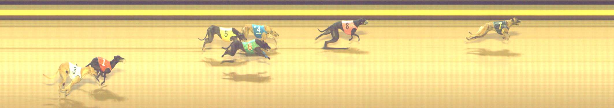 Photo finish for Shepparton Race 11