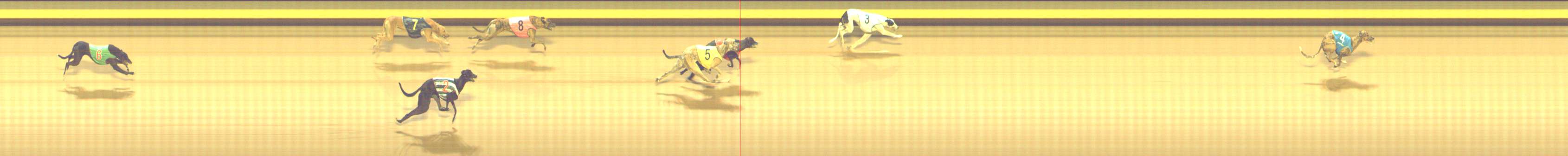 Photo finish for Shepparton Race 12