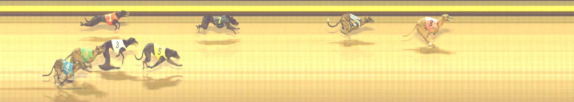 Photo finish for Shepparton Race 13