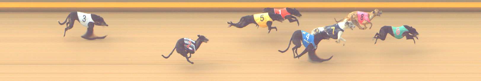 Race result finish photo
