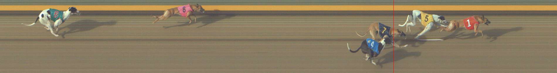 Photo finish for Shepparton Race 1