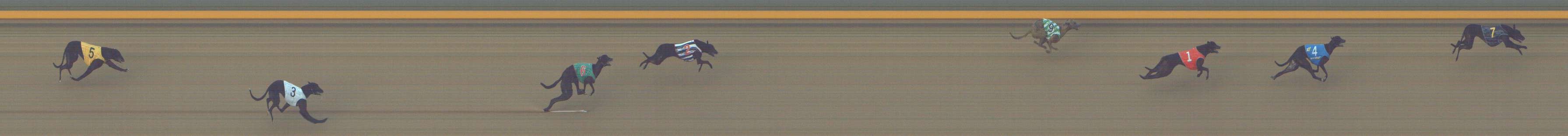Photo finish for Shepparton Race 2