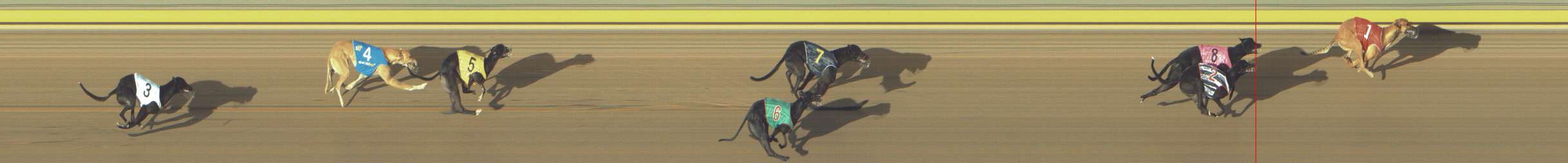 Photo finish for Shepparton Race 3