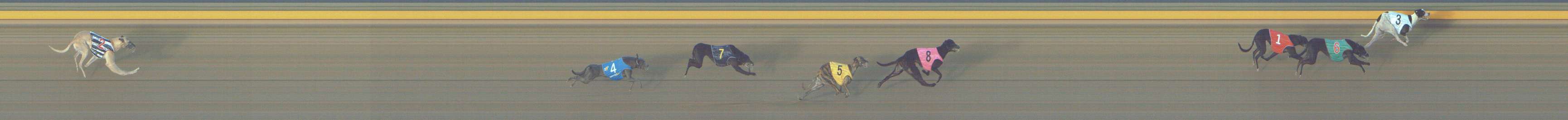 Photo finish for Shepparton Race 4