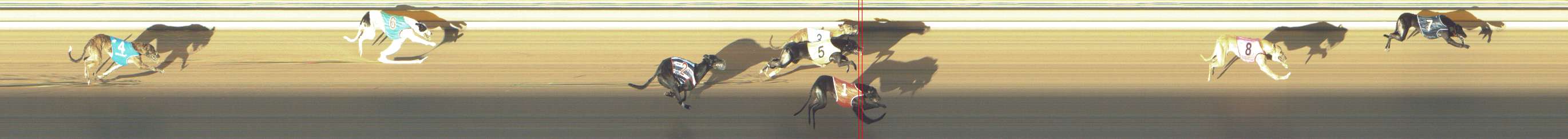 Photo finish for Shepparton Race 5