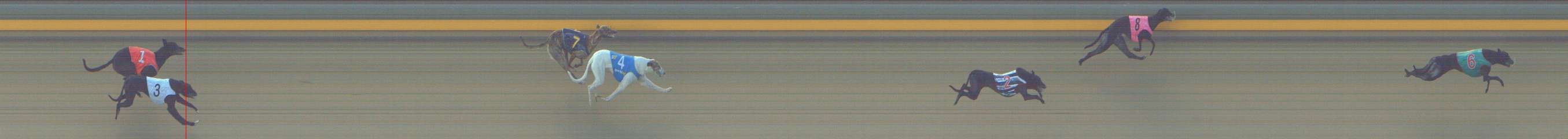 Photo finish for Shepparton Race 6