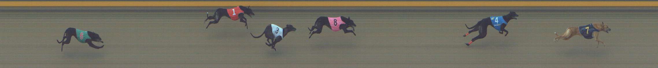 Photo finish for Shepparton Race 7
