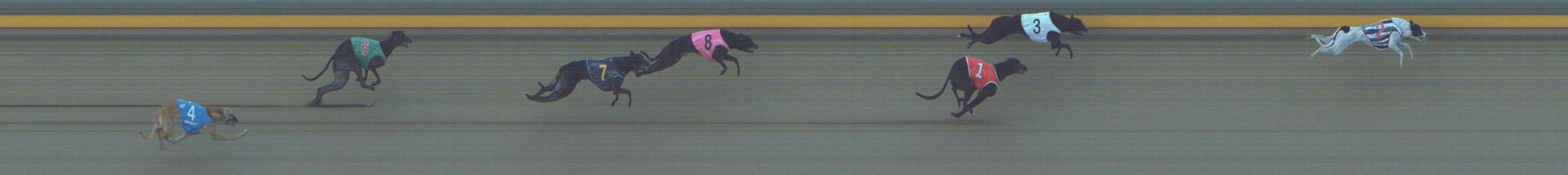 Photo finish for Shepparton Race 8