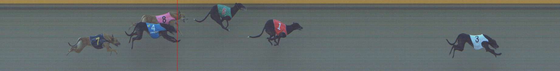 Photo finish for Shepparton Race 9