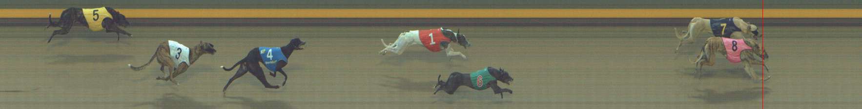 Photo finish for Shepparton Race 10